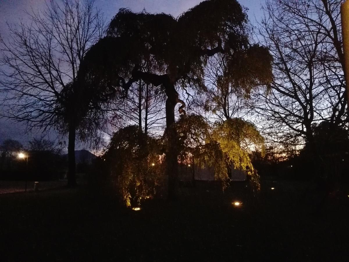 Agriturismo La Sophora 몬테갈델라 외부 사진