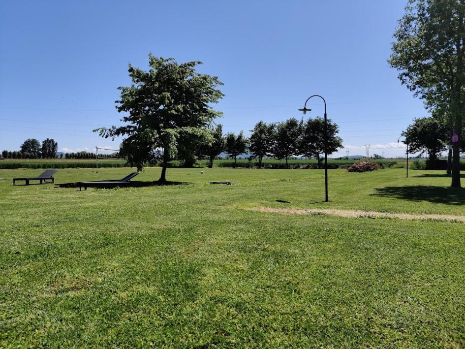 Agriturismo La Sophora 몬테갈델라 외부 사진