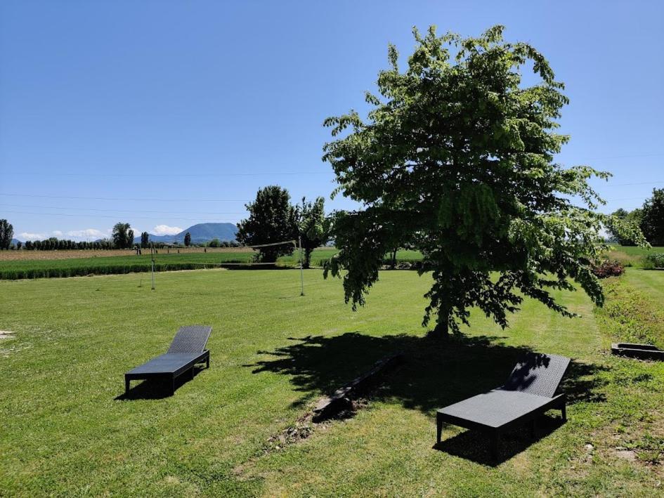 Agriturismo La Sophora 몬테갈델라 외부 사진