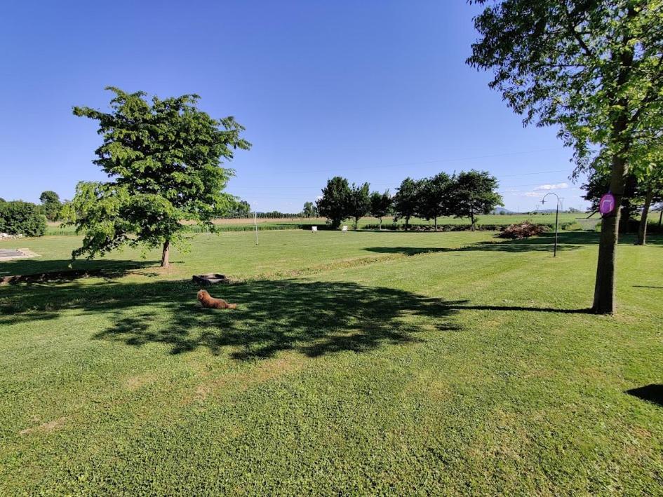 Agriturismo La Sophora 몬테갈델라 외부 사진